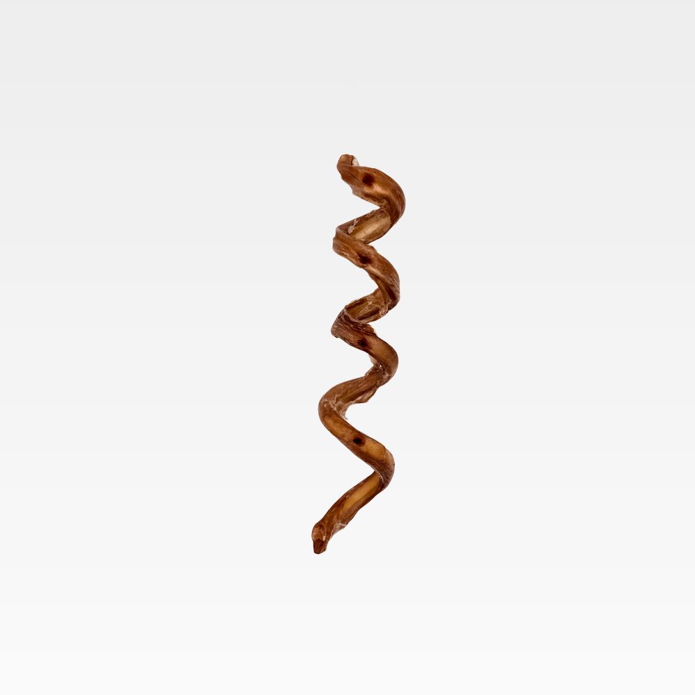 WILDFOODIE 10-12" Curly Bully Stick