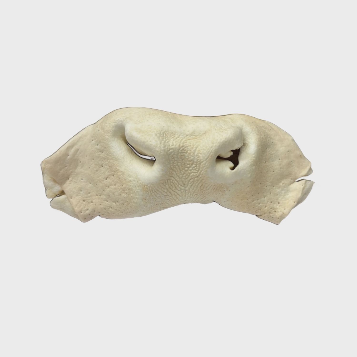 WILDFOODIE Whole Beef Snouts