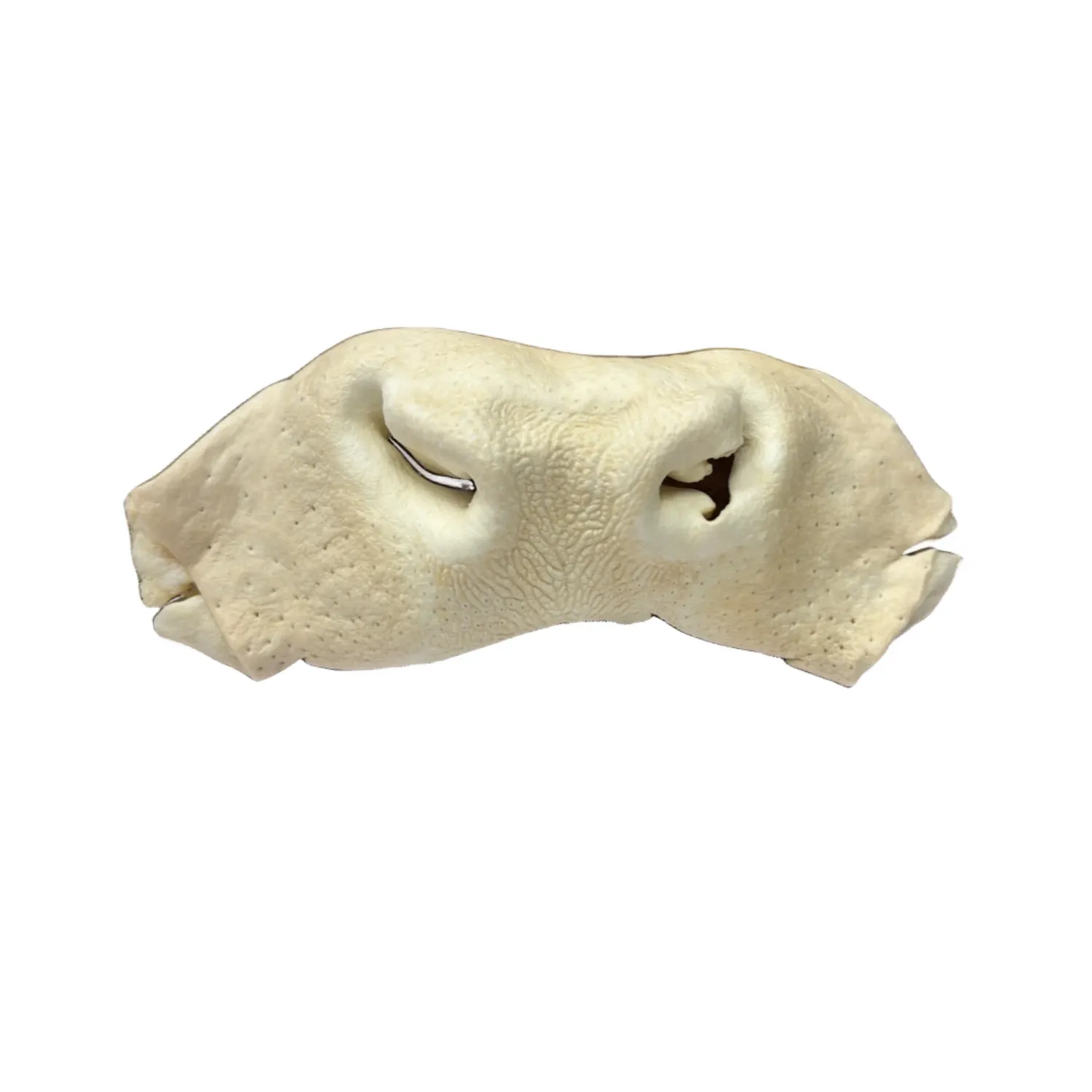 WILDFOODIE Whole Beef Snouts