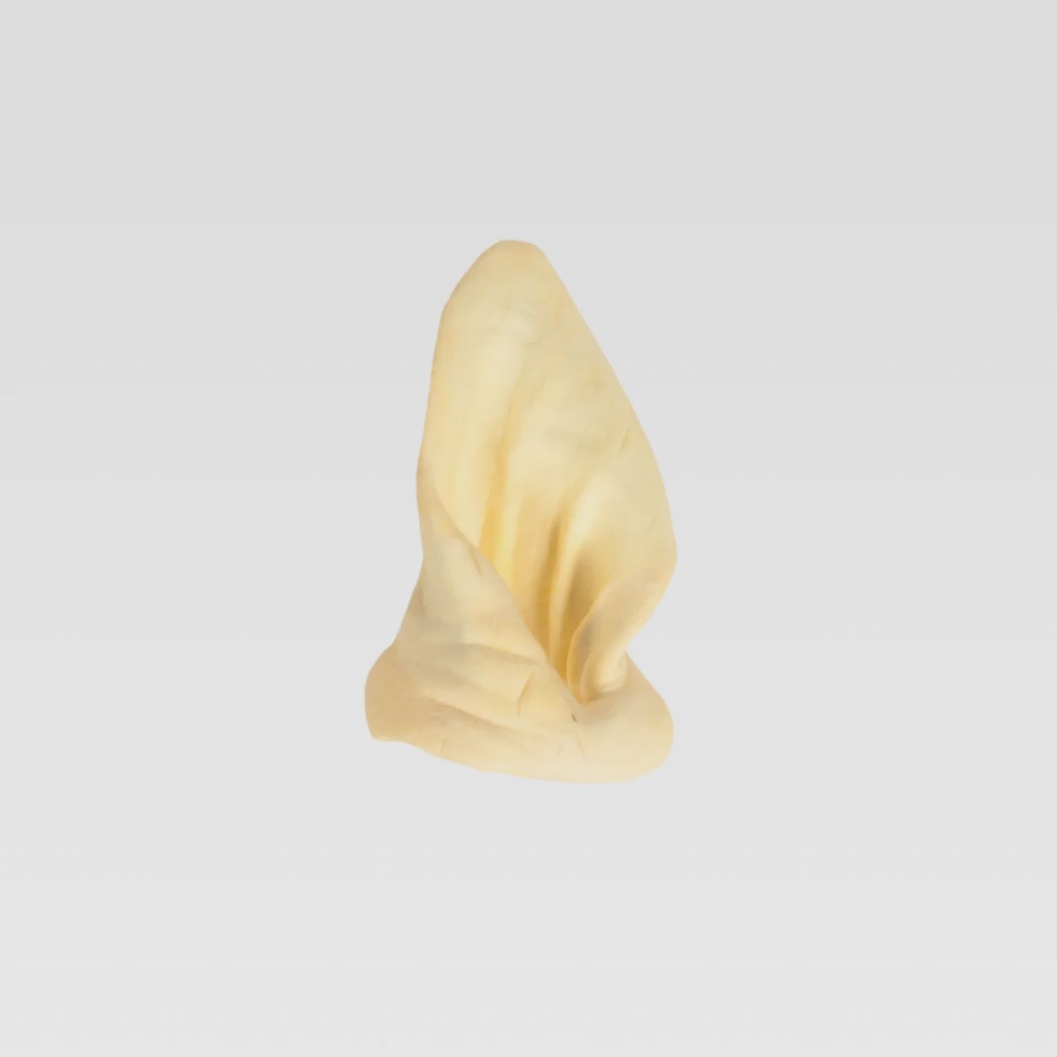 WILDFOODIE White Cow Ear