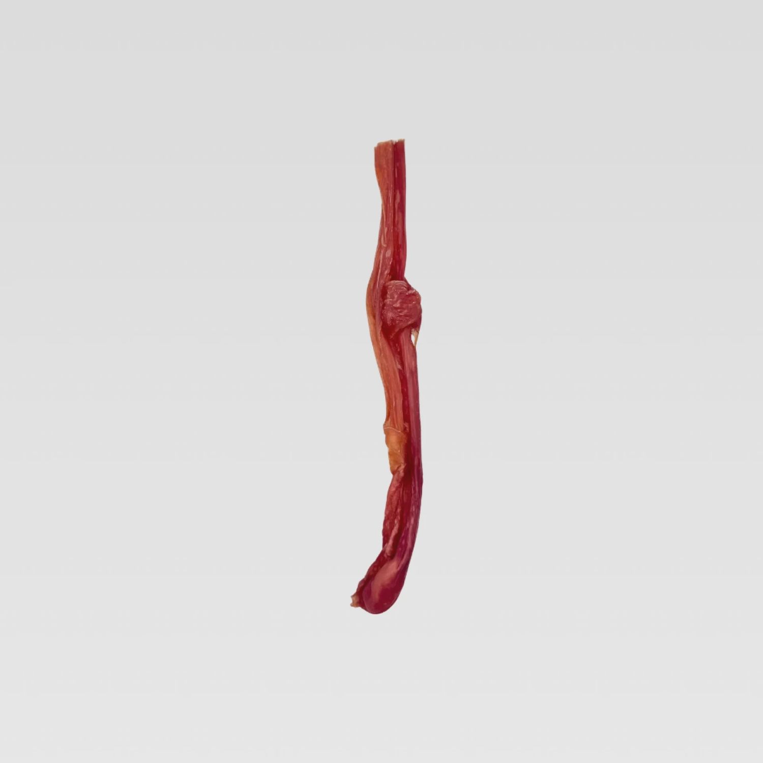 WILDFOODIE 12" Bladder Stick