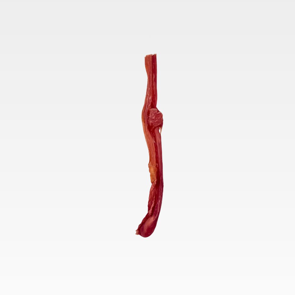 WILDFOODIE 12" Bladder Stick