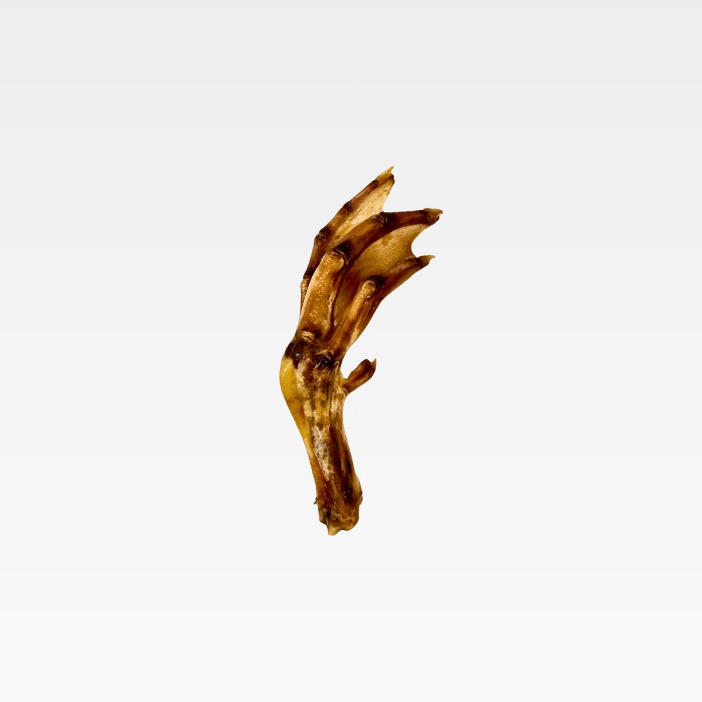 WILDFOODIE Duck Feet