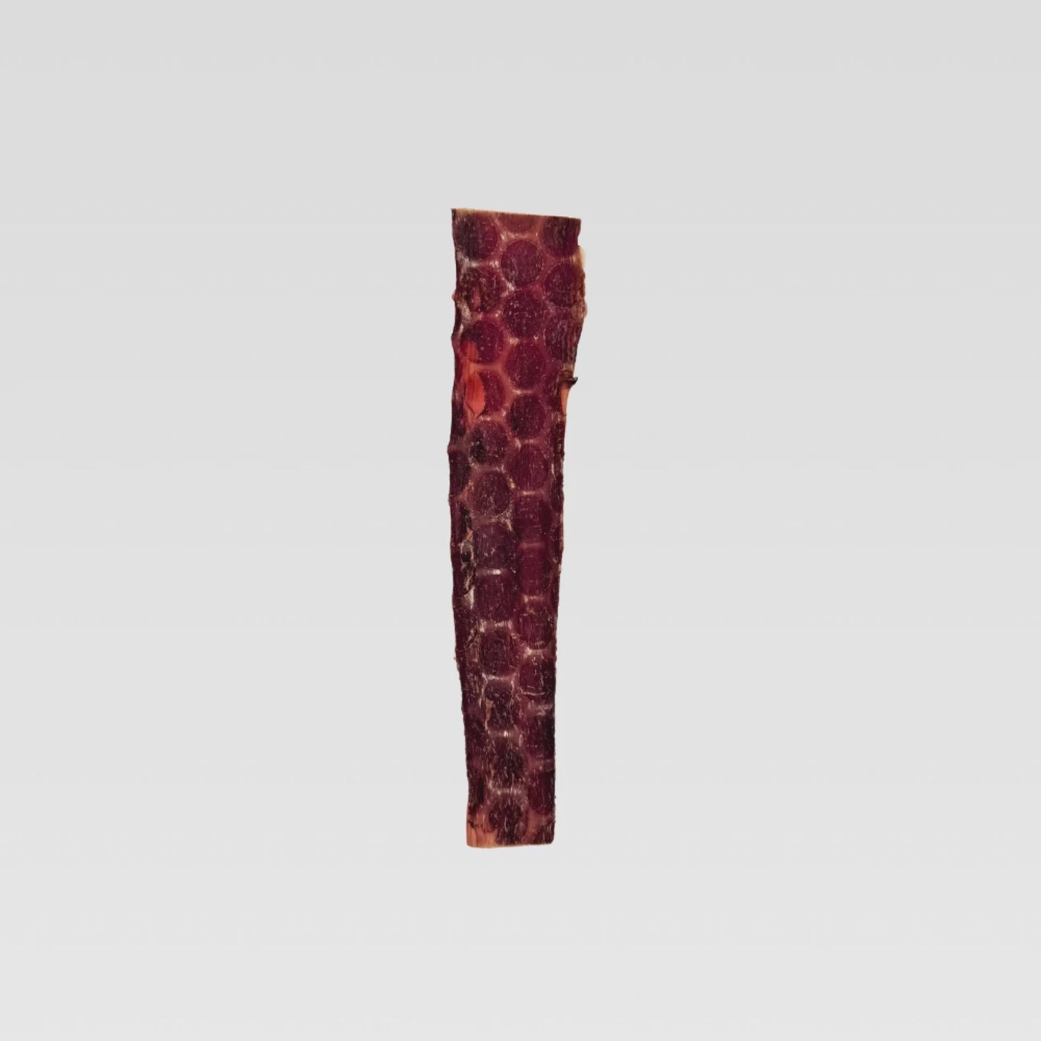 WILDFOODIE 12'' Esophagus