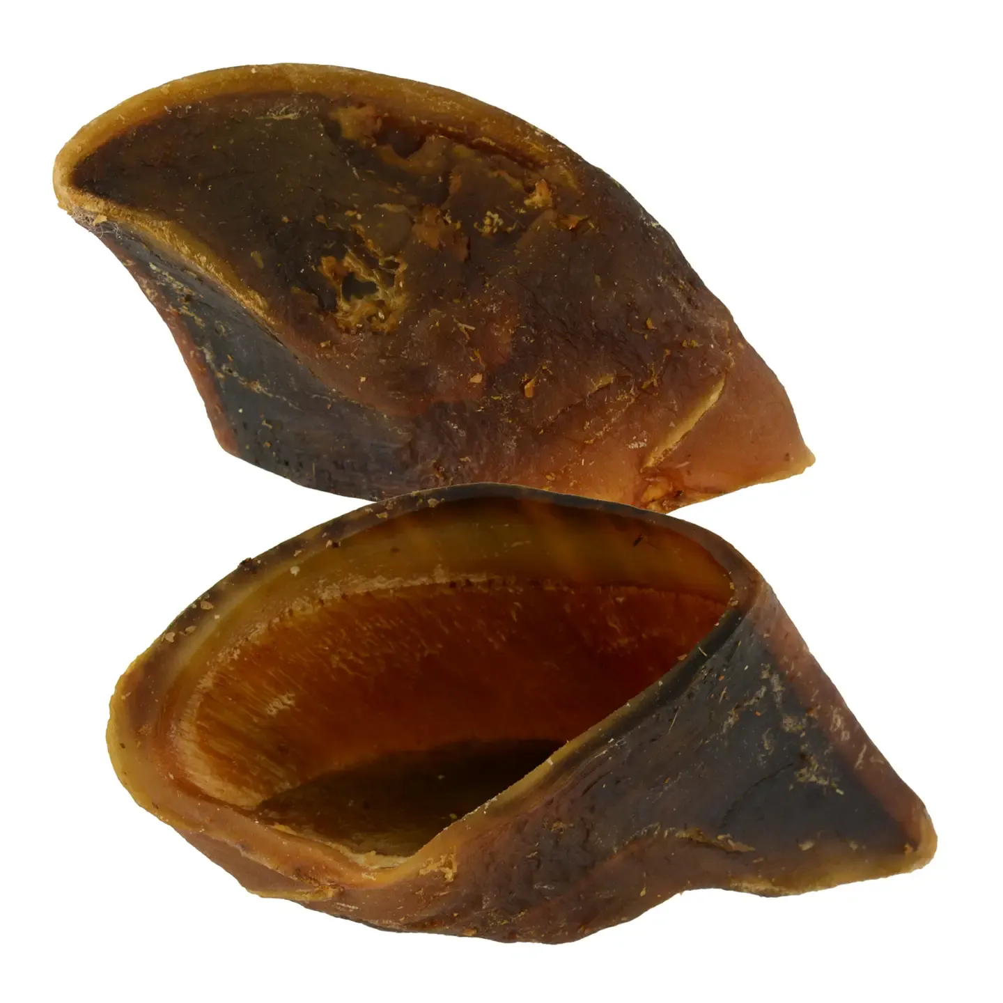 WILDFOODIE Cow Hooves