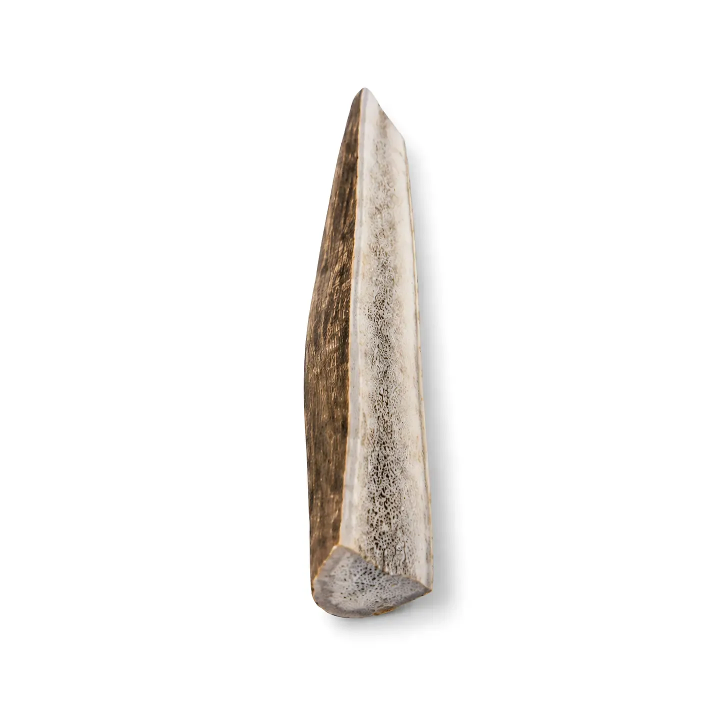 WILDFOODIE Elk Antler, Size: Jumbo (X Large)