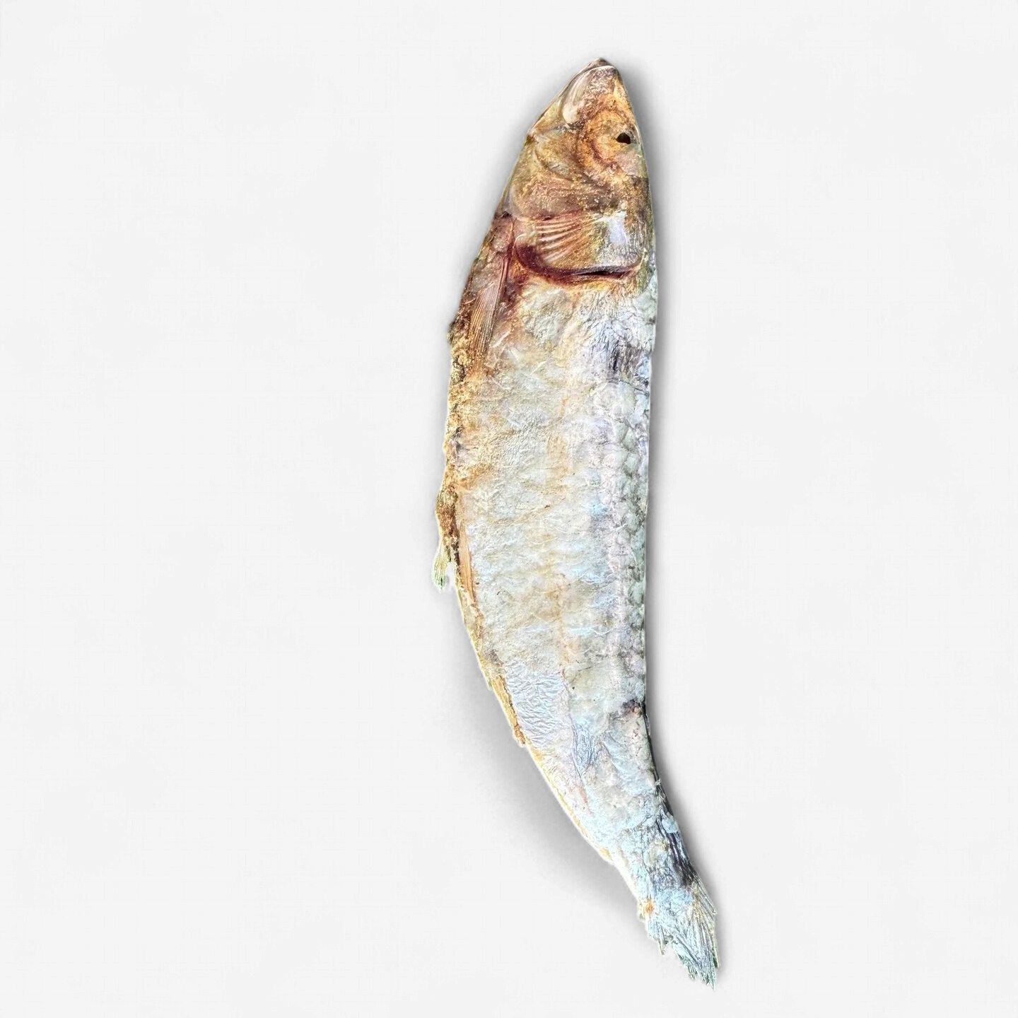 WILDFOODIE Sardines Freeze - Dried
