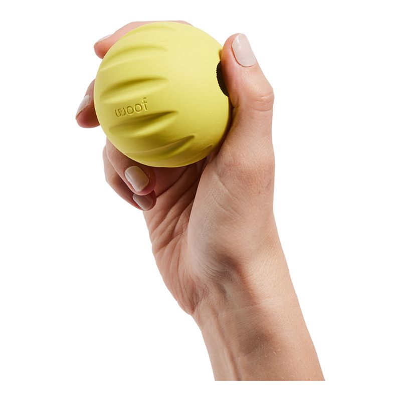 WOOF Dog Forager Flyball Single Yellow