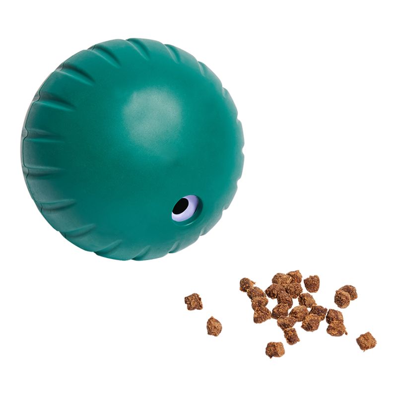 WOOF Dog Forager Walkabout Small