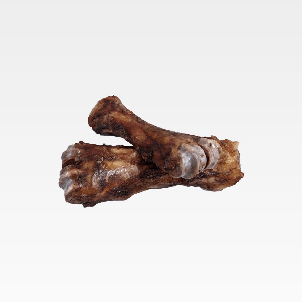 BARKNBIG Bison Shin Bone