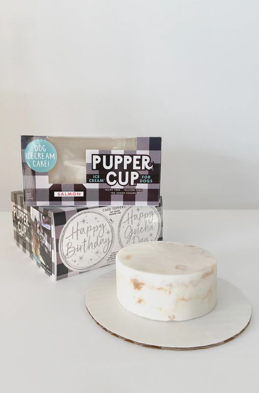 The Pupper Cup - Cake Salmon 8oz