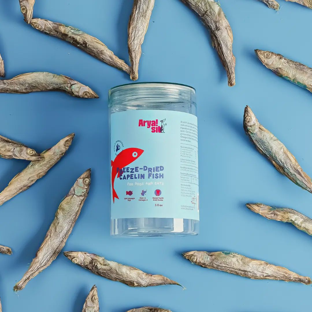 ARYA SIT! Freeze-Dried Capelin