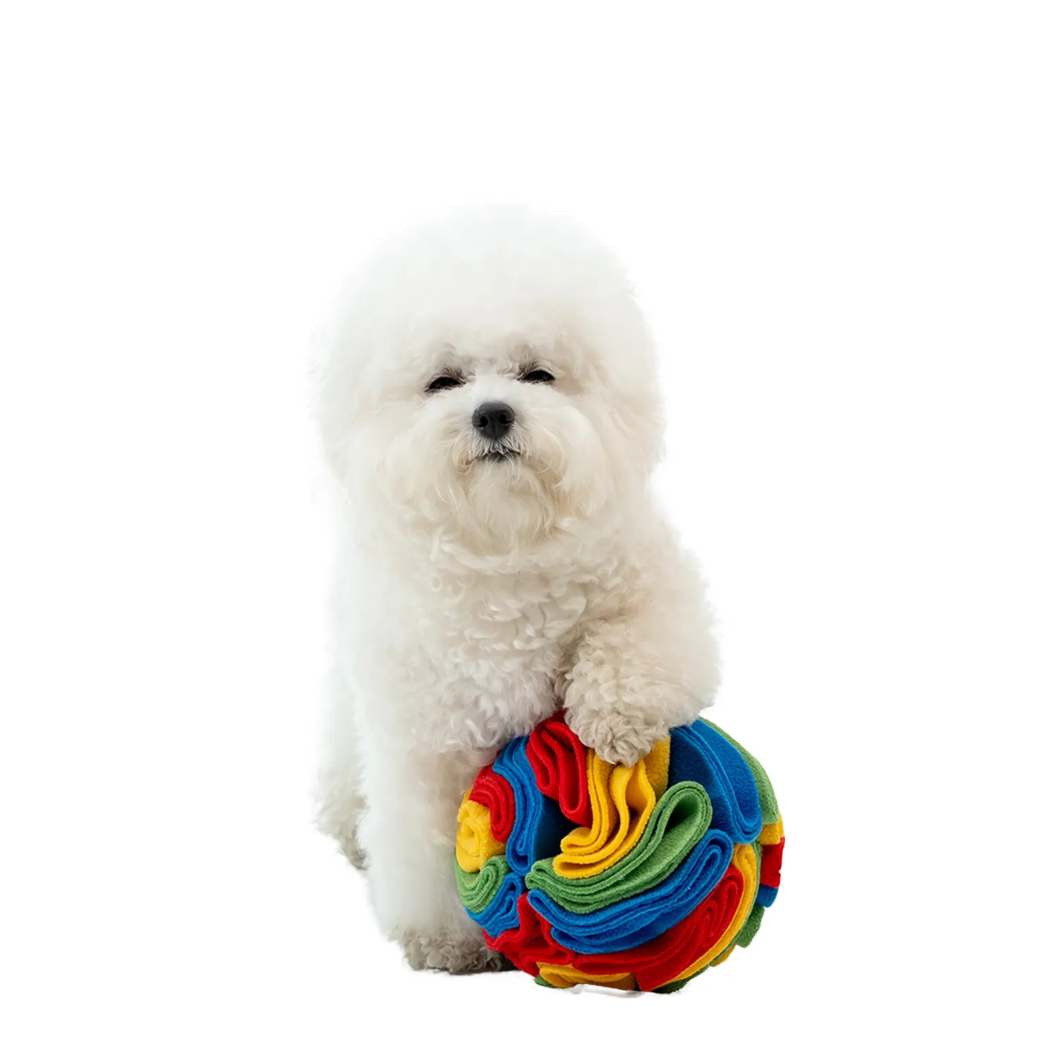 Territory Holiday Foraging Snuffle Ball Dog Toy