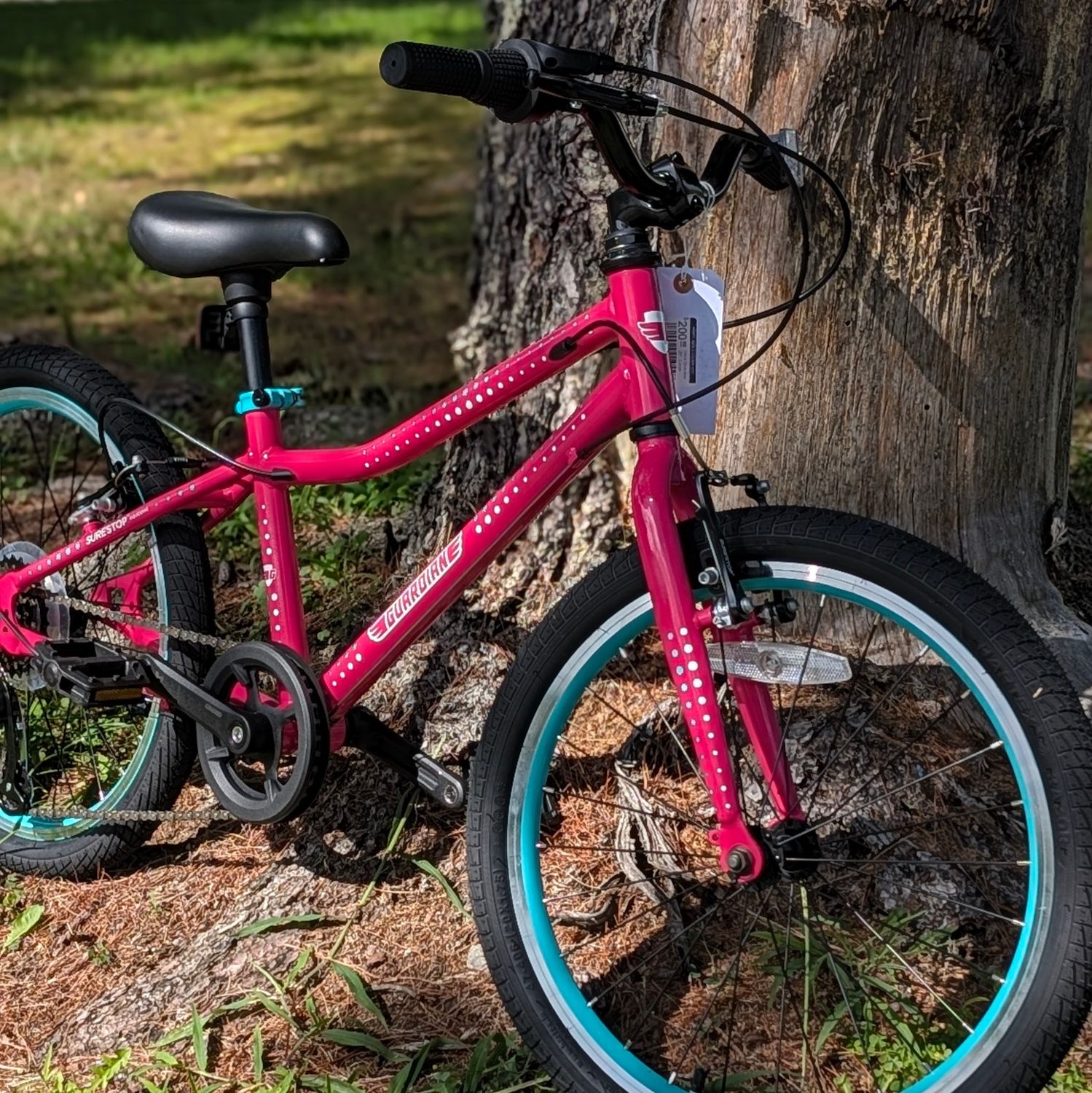 Used Guardian 20” - Large - Pink