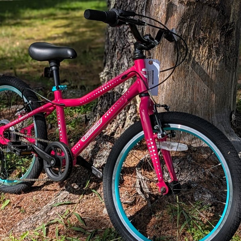 Used Guardian 20” - Large - Pink