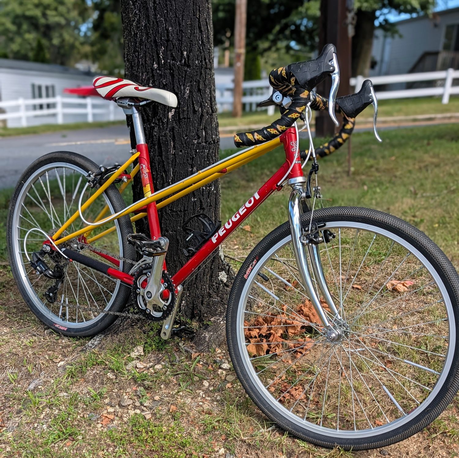 Used Peugot Mixte - Doug Palen Edition