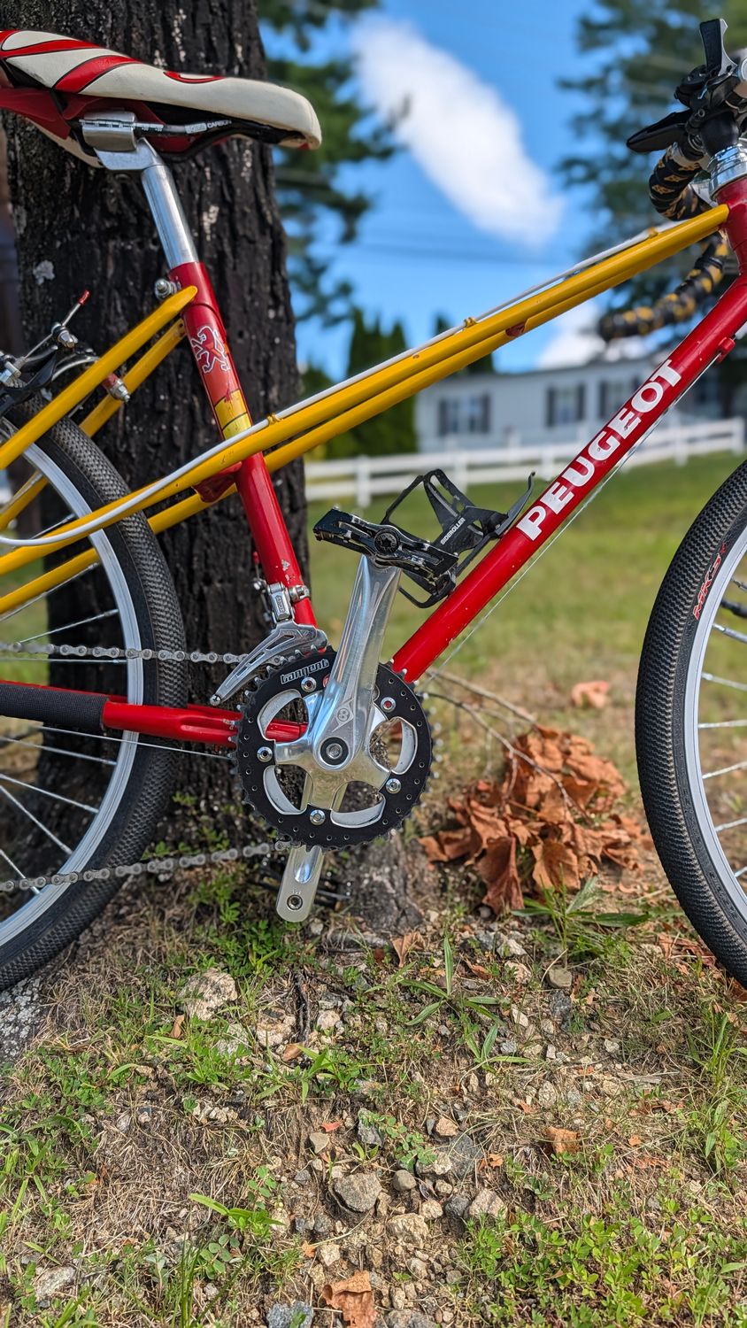 Used Peugot Mixte - Doug Palen Edition