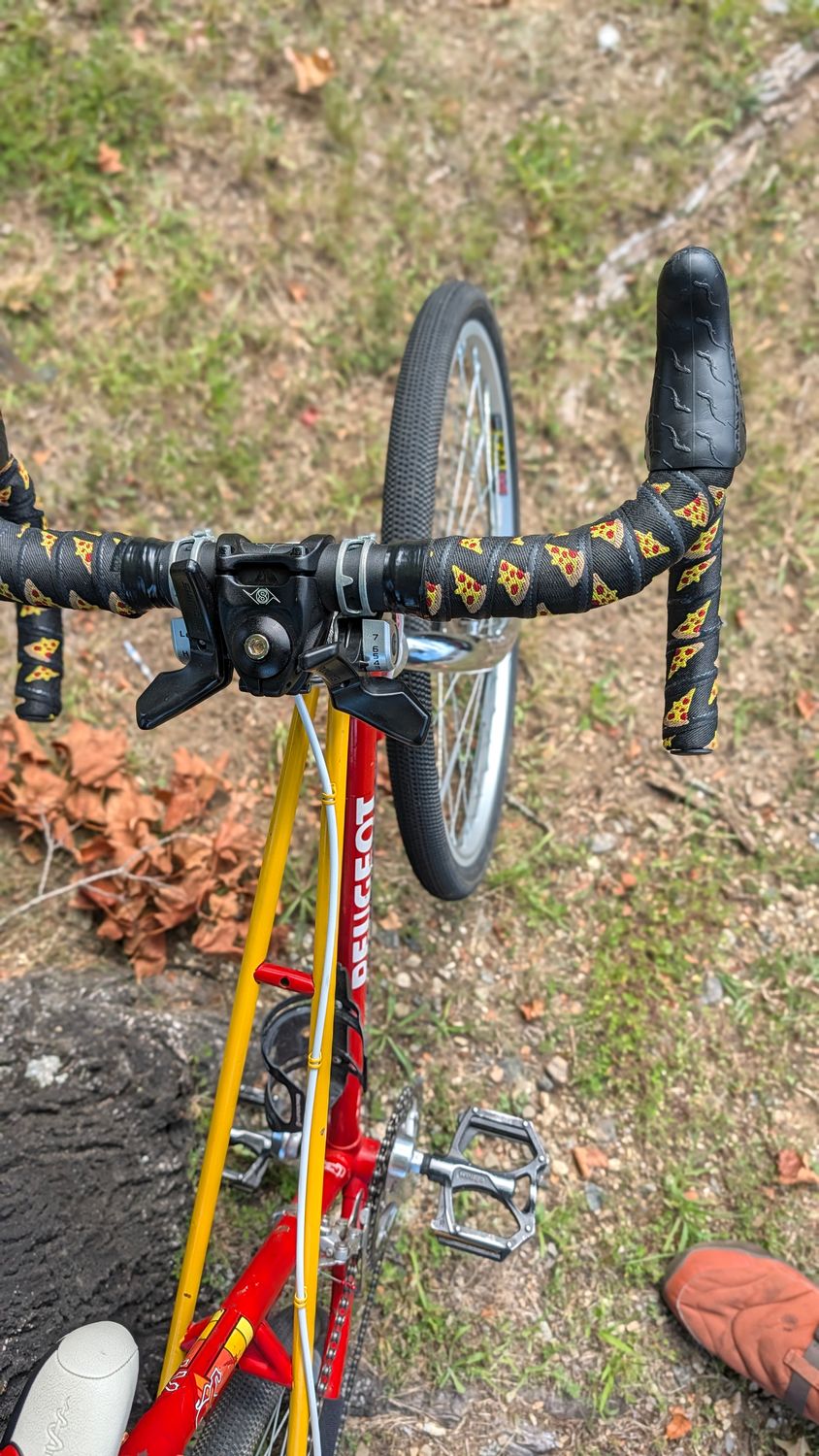 Used Peugot Mixte - Doug Palen Edition