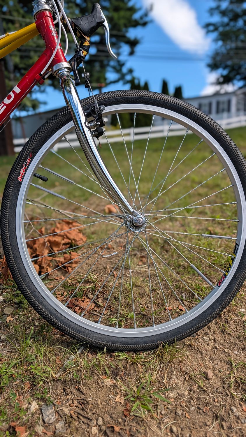 Used Peugot Mixte - Doug Palen Edition