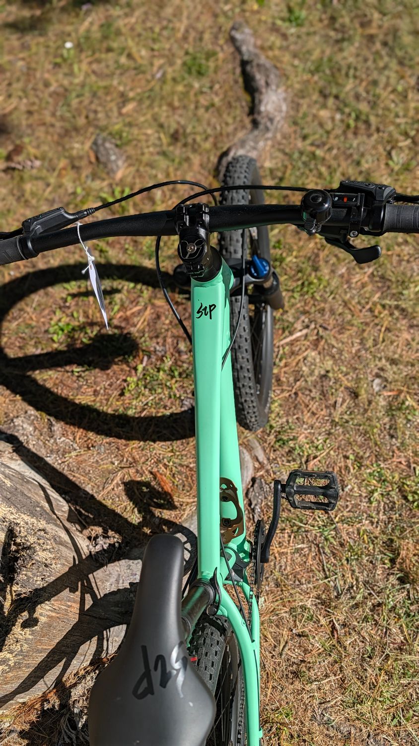 Used Liv STP 24” - Green