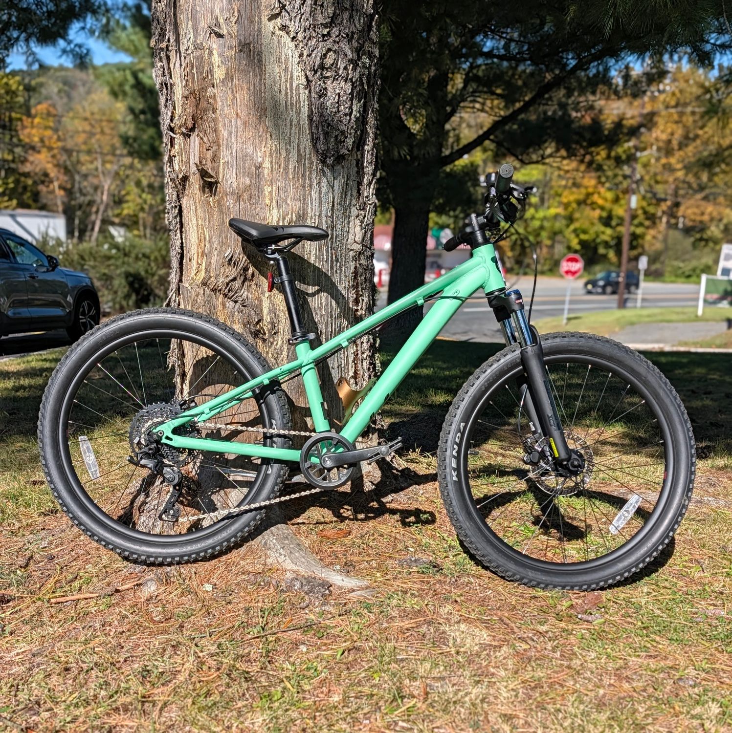 Used Liv STP 24” - Green