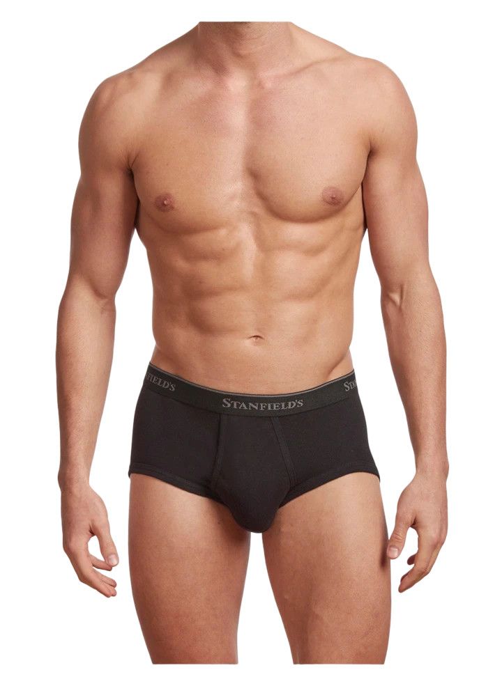 Stanfields Brief 3 Pack 2503