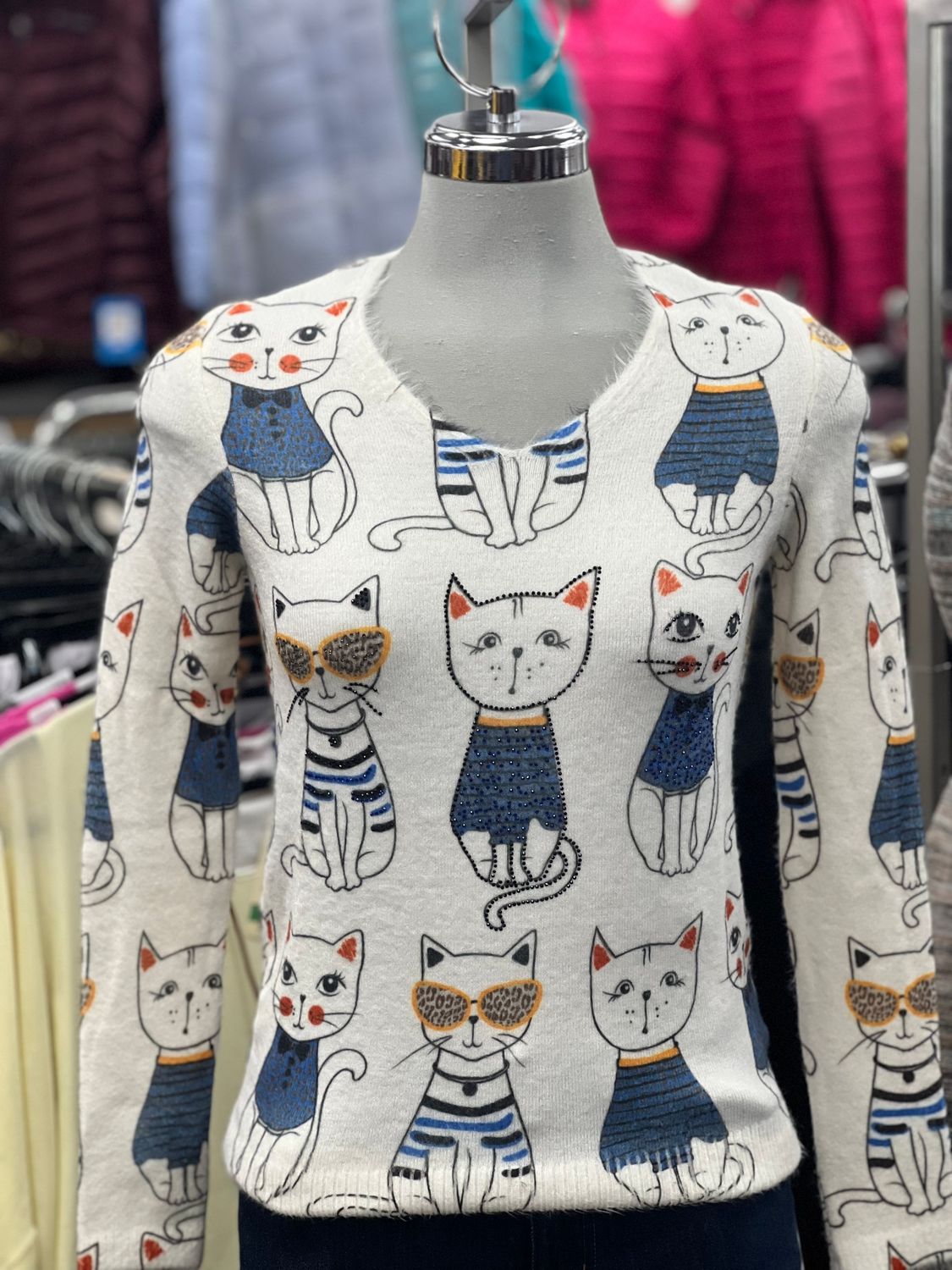 Fancy Sweater