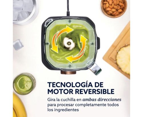 Licuadora Profesional Titan Oster 2200 W c/4 Programas , 5 Velocidades Vaso vidrio 2.5 L y Cuchilla Acero Inox. / Negra - BLSTXT-XG-013