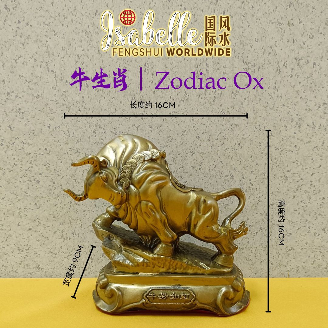 ​16 cm (长) x 16 cm (高) x 9 cm (宽)