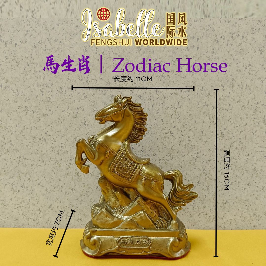 ​11 cm (长) x 16 cm (高) x 7 cm (宽)