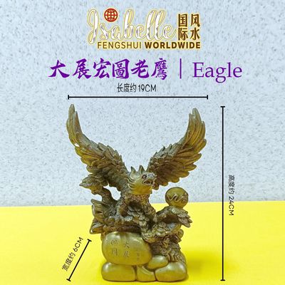 大展宏图老鹰