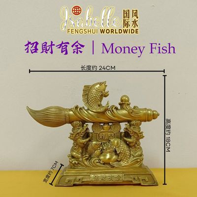Money Fish Money Fish