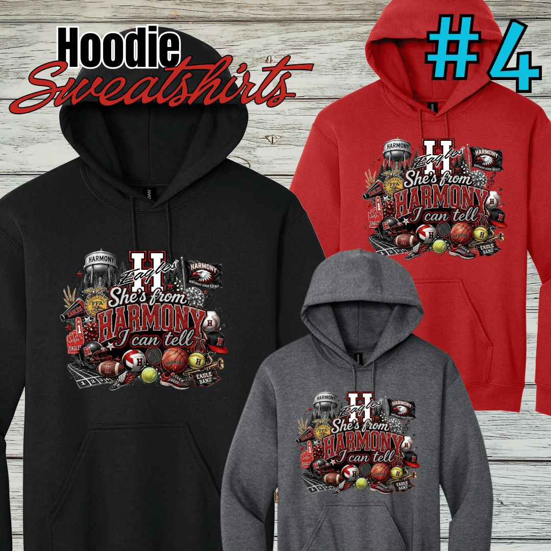 Harmony Design #4 Hoodie