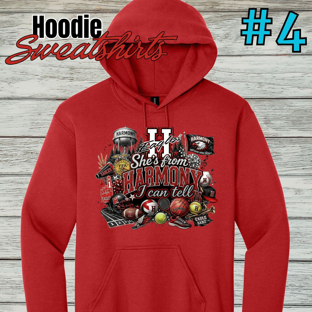 Harmony Design #4 Hoodie