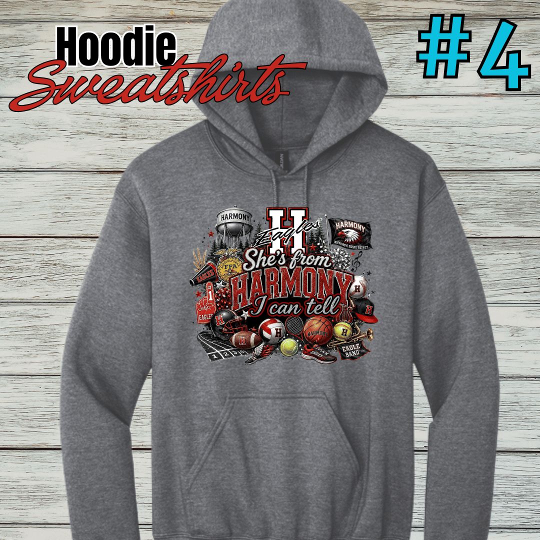 Harmony Design #4 Hoodie
