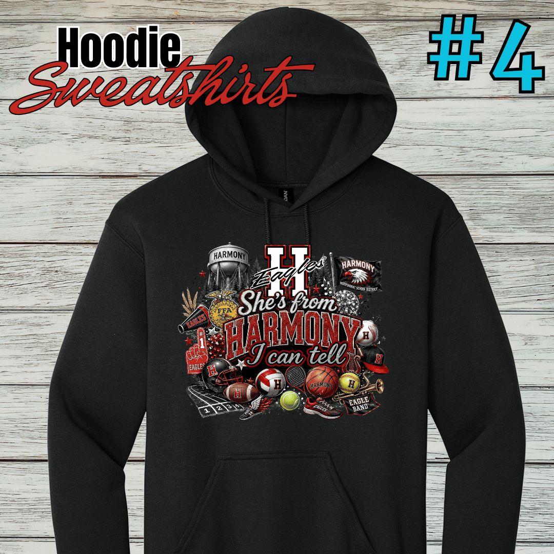 Harmony Design #4 Hoodie