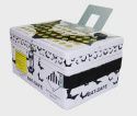 Bat-Safe LiPo Battery Charging Safe Box (BAFBATSAFE)