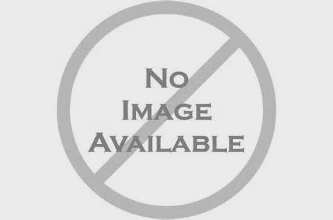 BRANCHLINE 1/4 INCH BRASS FIRNS (HJ252711)