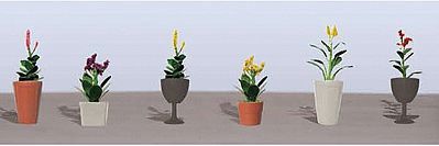 JTT FLOWER PLANTS POTTED ASSORTMENT (JTT95571)
