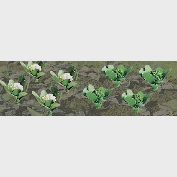 JTT Scenery Products Broccoli &amp; Cauliflowers 3/8" TALL, HO SCALE, 20/PK (JTT95529)
