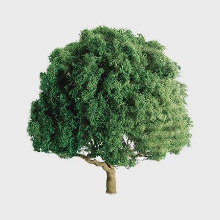 JTT Scenery Products Professional Tree, Oak 3" (2) (JTT94264)