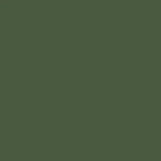 Mission Models RAF Dark Green (MIOMMP077)