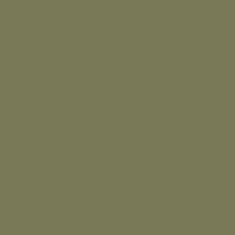 Mission Models US Army Olive Drab Faded 1 FS 3 (MIOMMP020)