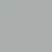 Mission Models Silver 1oz Water Based Acrylic (MIOMMM006