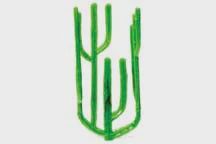 PLASTRUCT SUG-25, Econo Cactus, 1 1/4" (6) (PLS94251)
