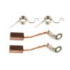 Reedy Radon 2 Brush and Spring Set (ASC27433)