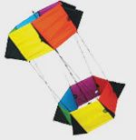SkyDog Kites 36" Spinning Box (SKK14306)