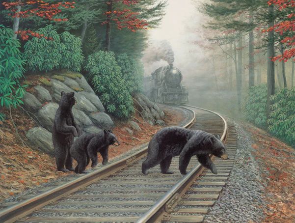 SunsOut Bear Tracks (SUN48804)