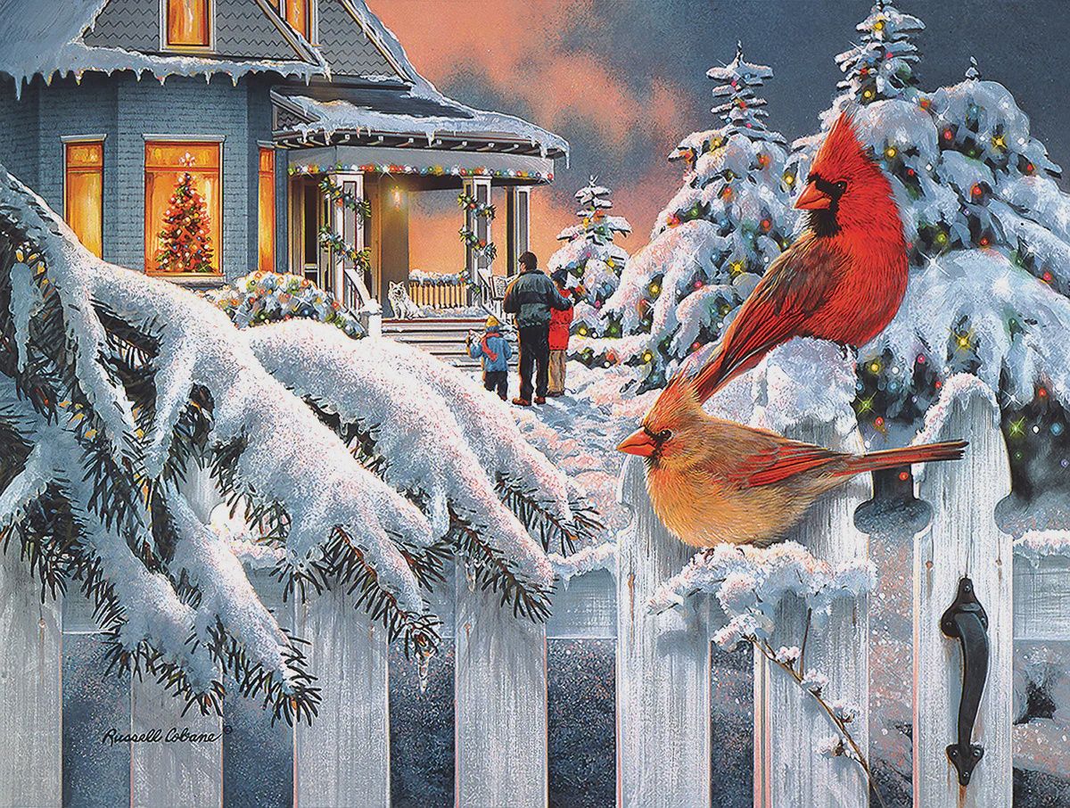 SunsOut Cardinals at Home for Christmas (SUN36781)