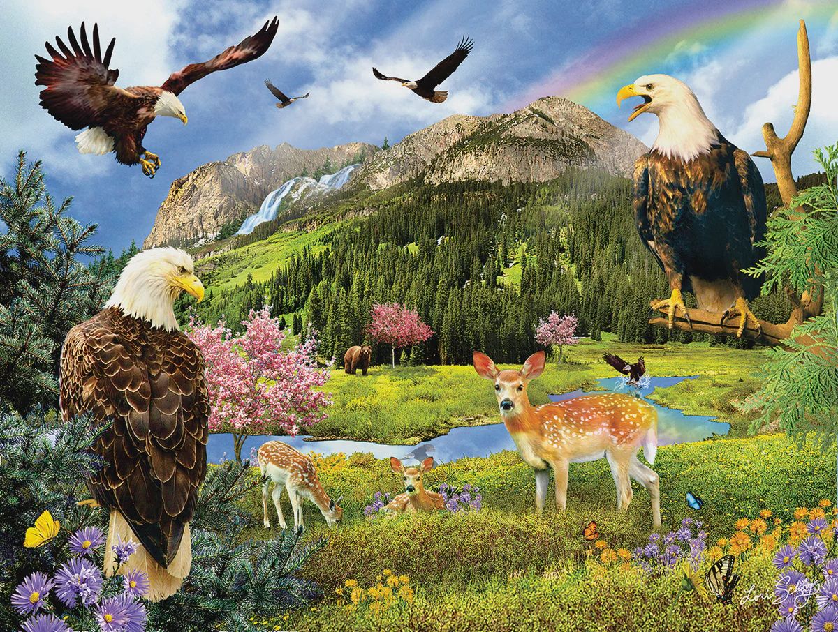SunsOut Eagle Valley (SUN35019)